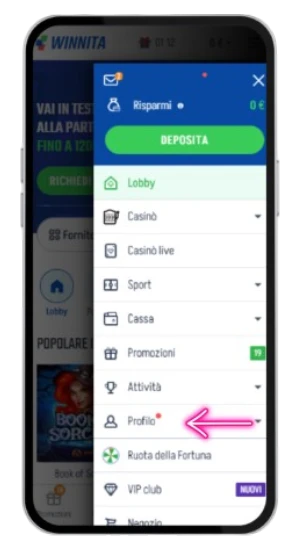sezione profilo utente nel menu laterale winnita